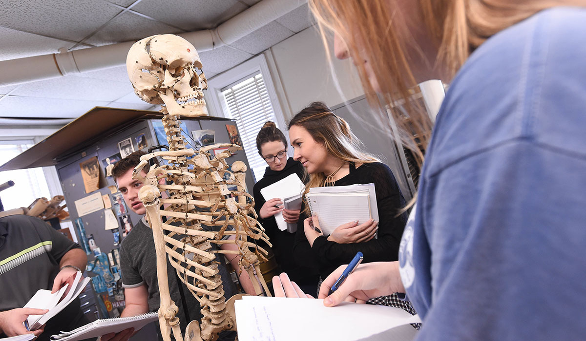 Students in anthropology class